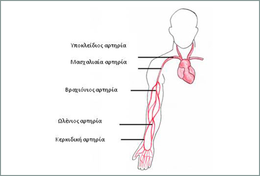 apofraktiki-artiriaki-1